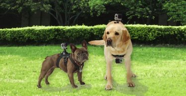 GoFetch - GoPro dodatek za psa